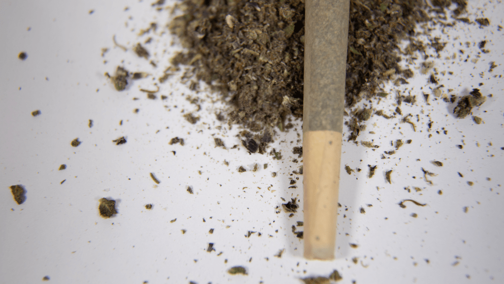 What’s the Difference Between a Cannabis Citation and a Charge in Florida?